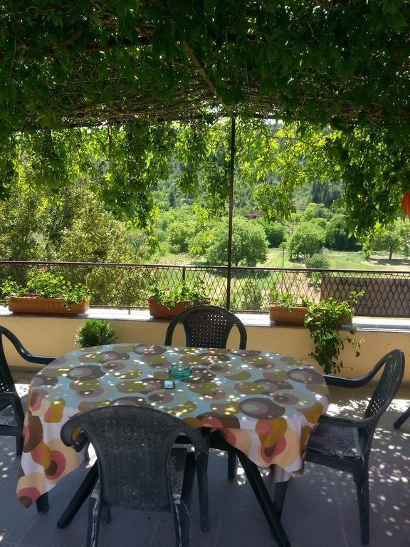 Apartments Darinka Skradin Rum bild